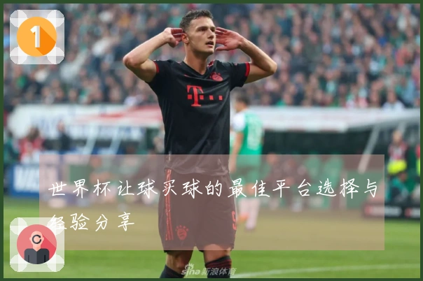 世界杯让球买球的最佳平台选择与经验分享