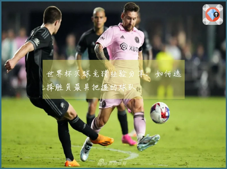 世界杯买球竞猜经验分享：如何选择胜负最具把握的球队