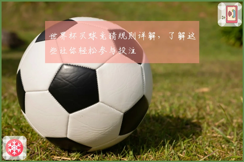世界杯买球竞猜规则详解，了解这些让你轻松参与投注