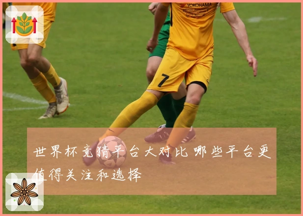 世界杯竞猜平台大对比 哪些平台更值得关注和选择