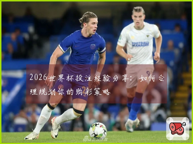 2026世界杯投注经验分享：如何合理规划你的购彩策略