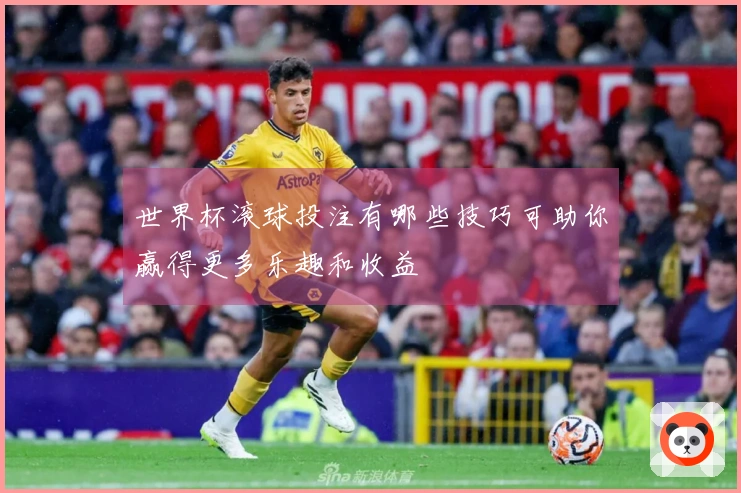 世界杯滚球投注有哪些技巧可助你赢得更多乐趣和收益