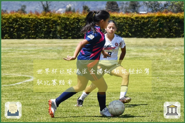 世界杯让球玩法全揭秘 助你轻松驾驭比赛赔率