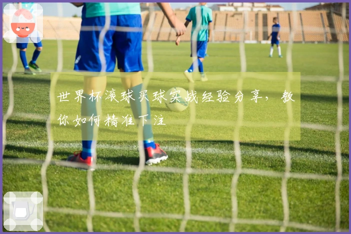 世界杯滚球买球实战经验分享，教你如何精准下注