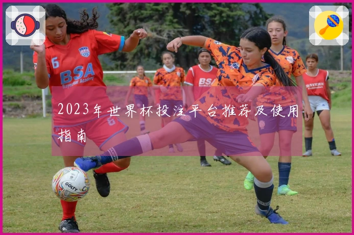 2023年世界杯投注平台推荐及使用指南