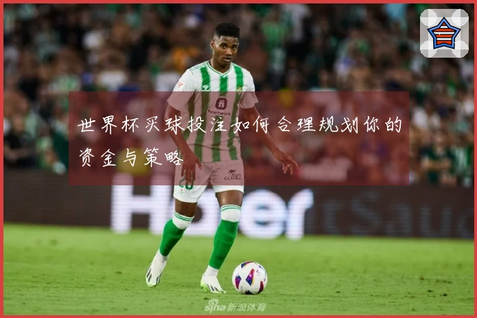 世界杯买球投注如何合理规划你的资金与策略