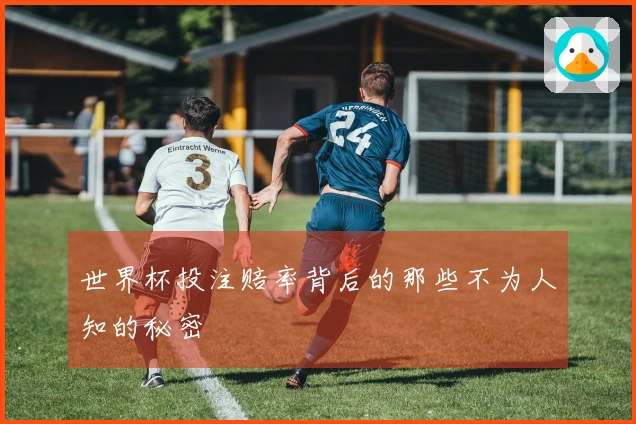 世界杯投注赔率背后的那些不为人知的秘密