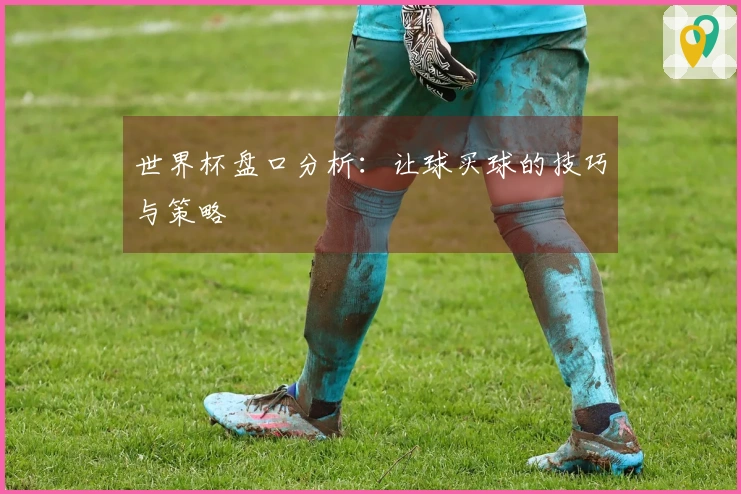 世界杯盘口分析：让球买球的技巧与策略