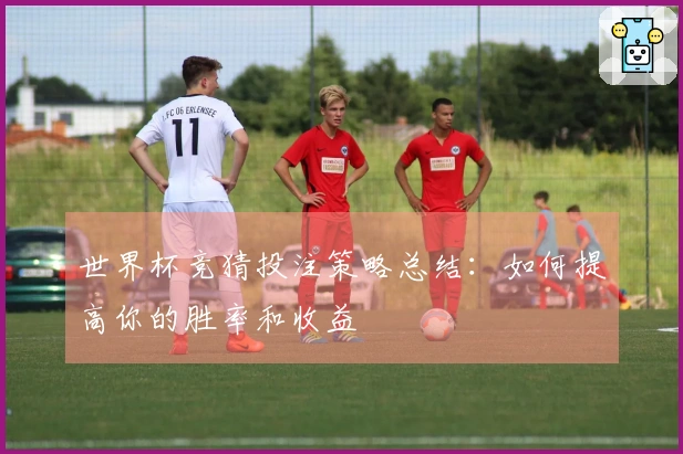 世界杯竞猜投注策略总结：如何提高你的胜率和收益