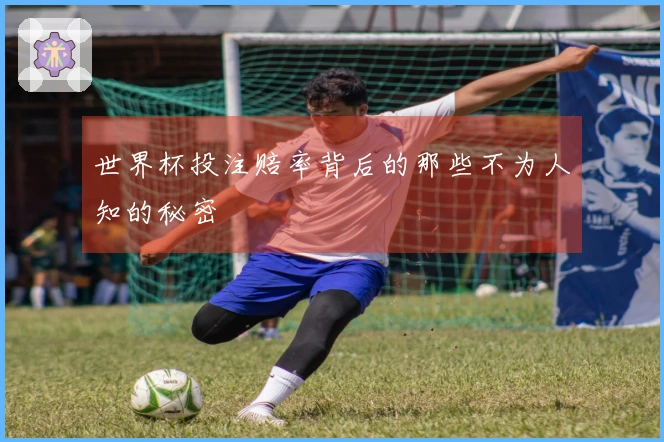 世界杯投注赔率背后的那些不为人知的秘密