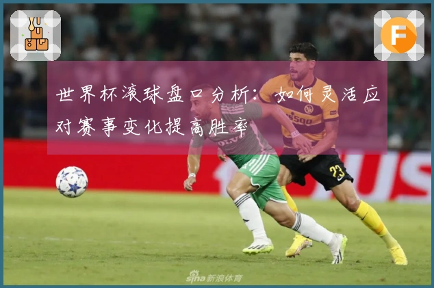 世界杯滚球盘口分析：如何灵活应对赛事变化提高胜率