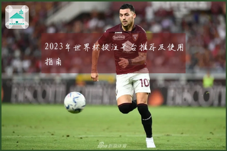 2023年世界杯投注平台推荐及使用指南